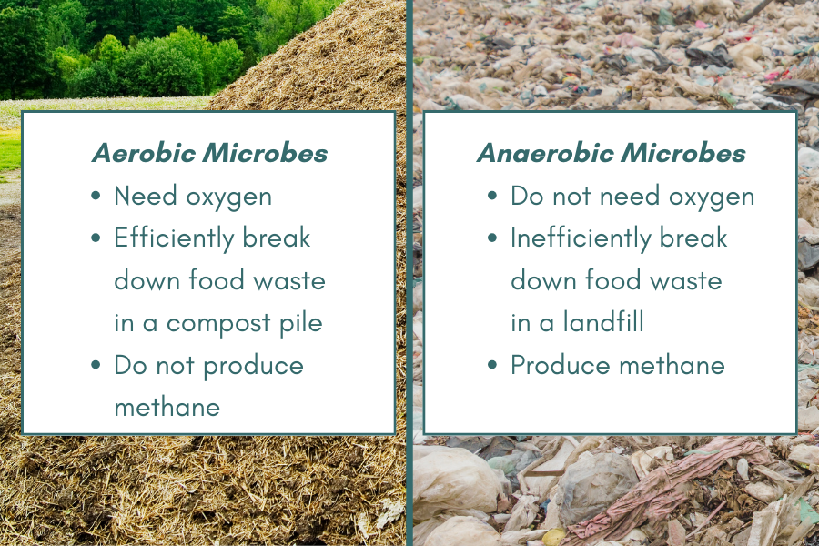 A description of the difference between aerobic and anaerobic microbes and how they break down food waste