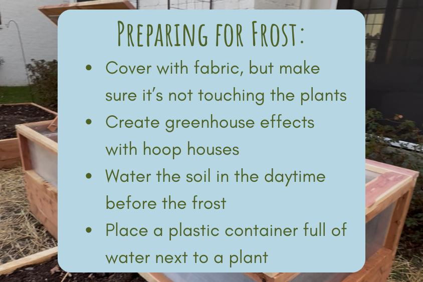 preparing garden for first frost