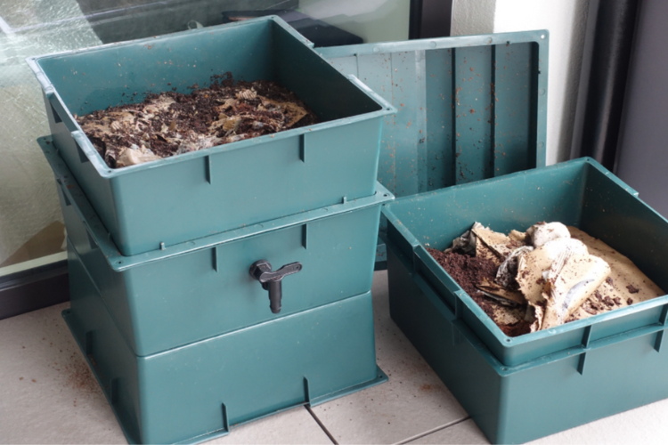 A vermicompost bin used for apartment composting