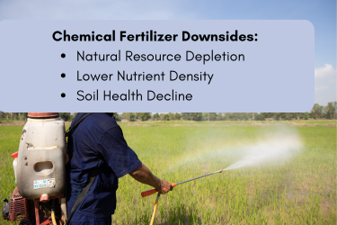 image of farmer using chemical fertilizer