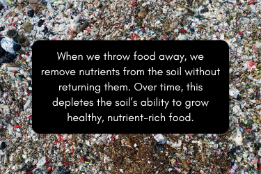 Image of food wasting away in a landfill