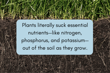 image of plants sucking nutrients from the soil